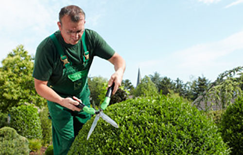 Fachkräfte sind für Ihren Garten so wichtig wie Licht, Luft und Wasser